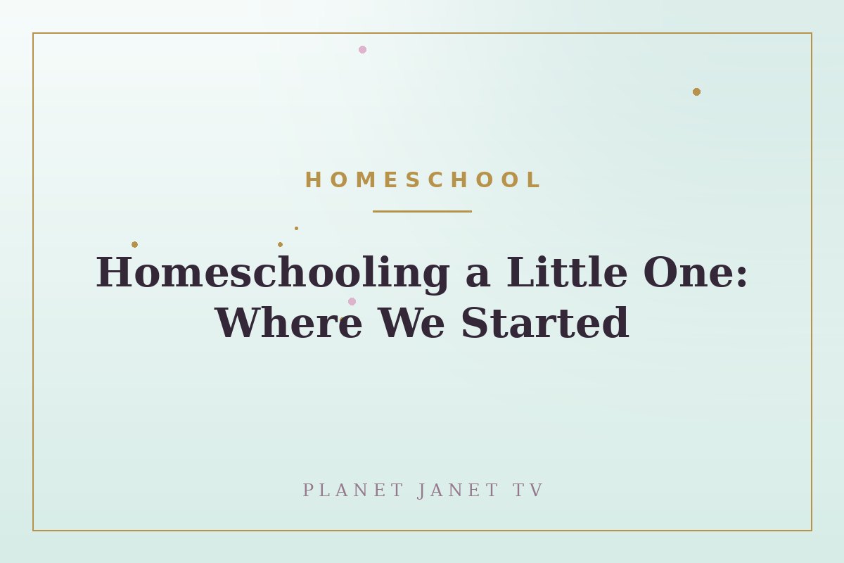 Homeschooling a Little One: Where We Started